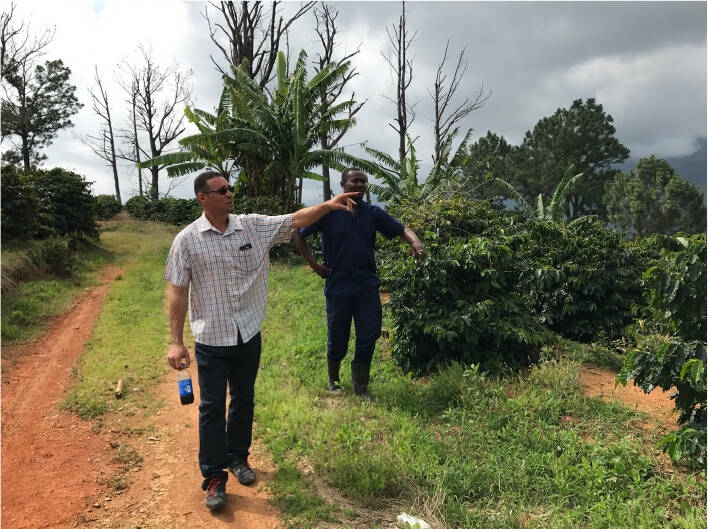 Jamaican Blue Mountain №1 - Verse koffiebonen - 100 gr