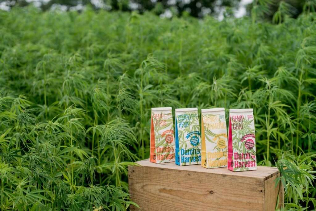 Hennep & Kurkuma - Hennep & Kurkuma thee 50 gram - Dutch Harvest losse thee