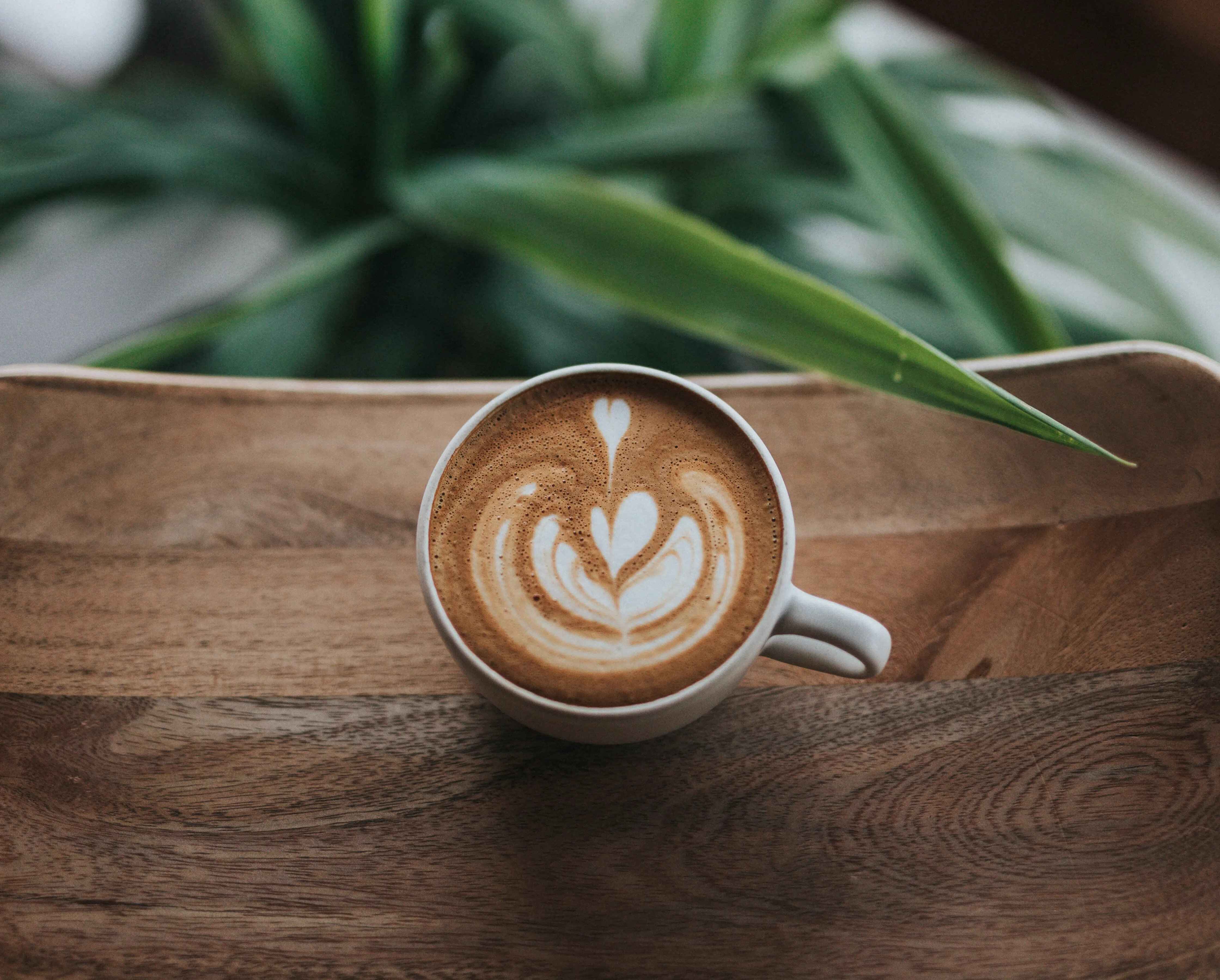 Thuisbarista worden