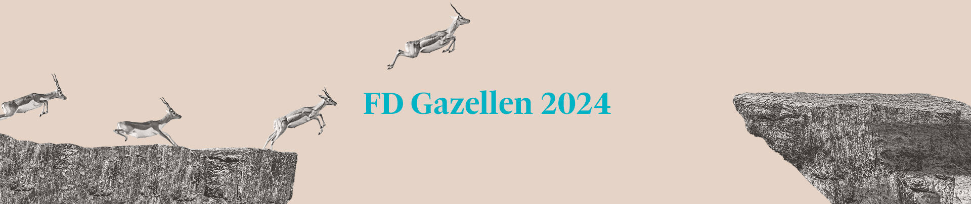 Café du Jour in 2024 opnieuw in de FD Gazellen-lijst!